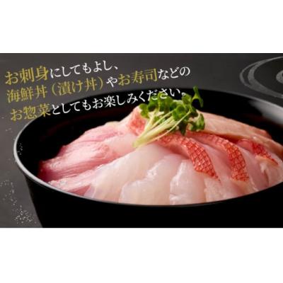 ふるさと納税 室戸市 ほんとうにおいしい!室戸のお刺身3〜5種盛り合わせお楽しみセット(2人前)_hn128 |  | 01