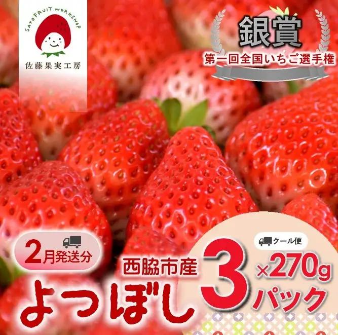 《2027年産先行予約》「西脇市産 佐藤果実工房のよつぼし」（約270g×３パック 約810g）【佐藤果実工房 全国いちご選手権銀賞受賞農園 TVで紹介!】令和９年２月下旬配送分（sato-Y-3-2-late）