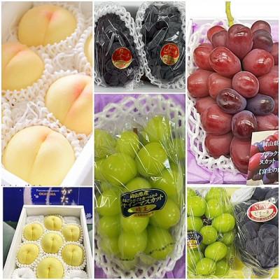 ふるさと納税 津山市 【発送月固定定期便】岡山県産 フルーツ定期便全6回 |  | 01