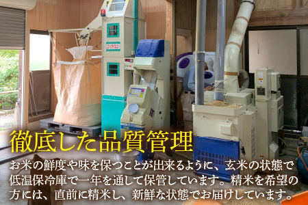 【先行予約】【令和6年産】《定期便6回》コシヒカリ 精米 5kg（計30kg） 特別栽培米 化学肥料不使用  ＜温度と湿度を常時管理し新鮮米を出荷！＞ / 伊与衛門農園の特別栽培米 高品質 鮮度抜群 