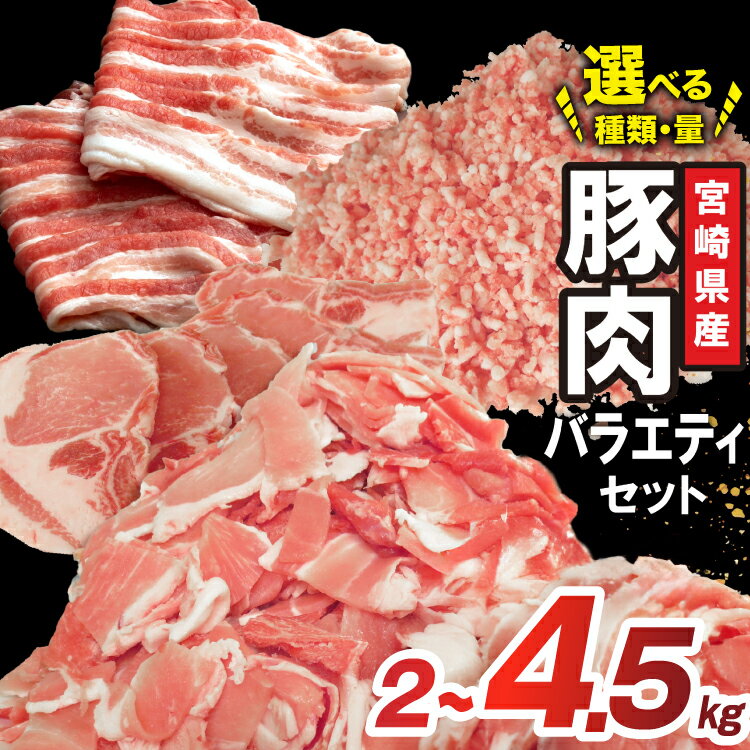 【ふるさと納税】 豚肉 詰め合わせ レビューキャンペーン 宮崎県産豚肉 選べる バラエティ セット [南九フーズ 宮崎県 日向市 452061519] トンカツ とんかつ バラ 切り落とし しゃぶしゃぶ ロース スライス 豚こま 小間切れ ミンチ ひき肉
