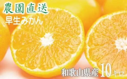 訳あり 早生みかん 大小混合 10kg 和歌山みかん