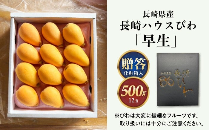 びわ ビワ 枇杷 果物 フルーツ 早生 わせ 果実 長崎県産 国産