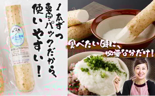 【3か月定期便】ねばりまこと芋（ネバリスター）4kg（真空パック包装）【02402-0293】