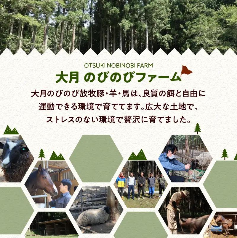 大月市で肥育した馬と放牧豚で作った馬豚ソーセージ 【馬肉70%：豚肉30%】