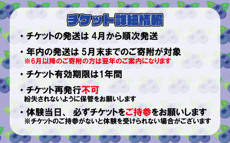 ブルーベリー狩り チケット 2名様