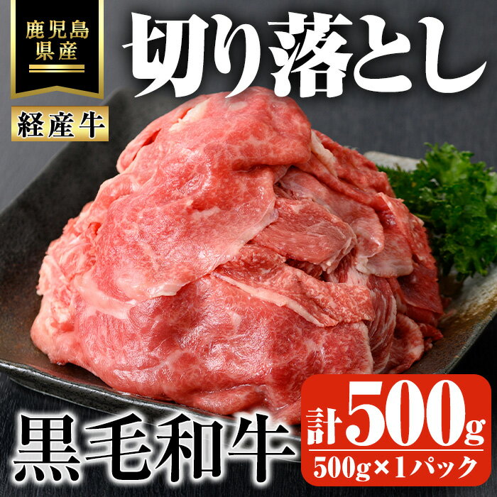 【ふるさと納税】鹿児島県産黒毛和牛(経産牛) おためし切り落とし 計500g(500g×1パック) 国産 鹿児島県産 牛 小分け 冷凍 牛肉 黒毛和牛 切り落とし【ビーフ倉薗】