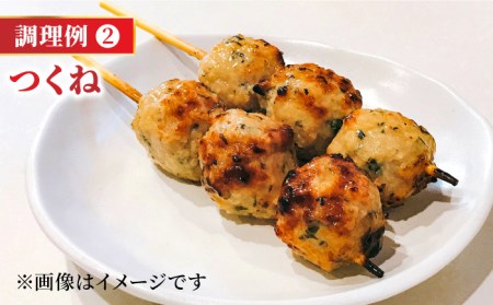 【全12回定期便】＜佐賀牛100%！＞佐賀牛A5ランク ミンチ 1kg（500g×2）吉野ヶ里町 /meat shop FUKU 黒毛和牛 国産 佐賀県産 ブランド和牛 1000g[FCX016]