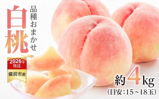 【2026年発送分　先行受付開始！】びぜん白桃　早生4品種のうち1品種　約4kg（令和8年6月下旬～7月上旬頃発送）【岡山県備前市産 早生 4品種のうち1品種 約４kg （１５～１８玉目安）】