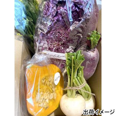 ふるさと納税 山田町 【数量限定】三陸山田産 カラフル 野菜 詰め合わせ 令和8年5月中旬以降発送 60サイズ |  | 01