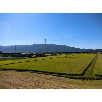 ふるさと納税 養老町 令和6年産　岐阜ハツシモ　5kg　白米 |  | 03