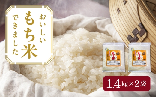 【2袋】愛知県産滋賀羽二重糯 計2.8kg（1.4kg×2袋） 特別栽培米 もち米 ご飯 愛西市 ／ 株式会社TONORI [AECT001]