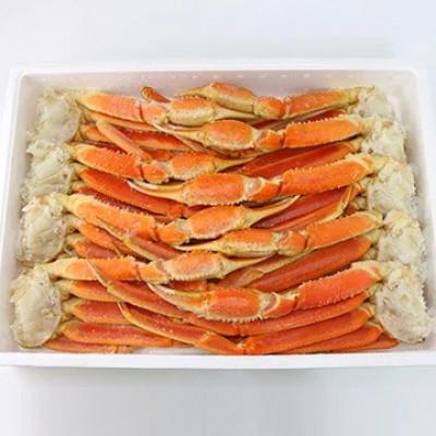ふるさと納税 阪南市 ●期間限定【10月31日より順次発送】ボイルずわい蟹 4Lサイズ 3kg(7〜9肩)