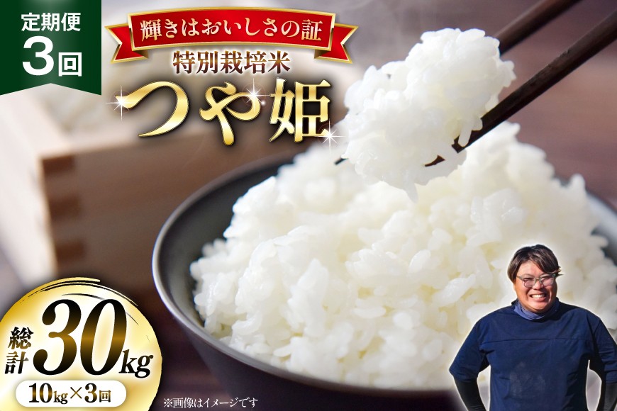 
                  米 定期便 3回 令和7年産 特別栽培米 つや姫 10kg (5kg×2) [本田勇仁 山形県 高畠町 tk06bgj910007] お米 白米 精米 ごはん ご飯 ブランド米 
                