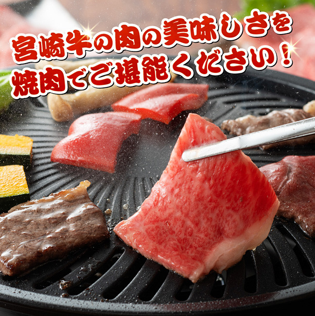 宮崎牛霜降り焼肉 700g (350g×2)　牛肉[E11122]