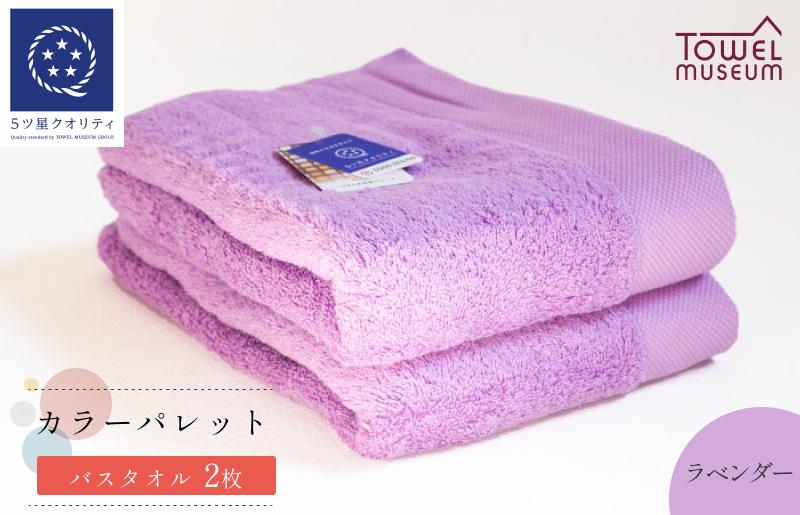 
                  カラーパレット バスタオル2枚セット（ラベンダー） タオル美術館【I001730BT2LV】
                