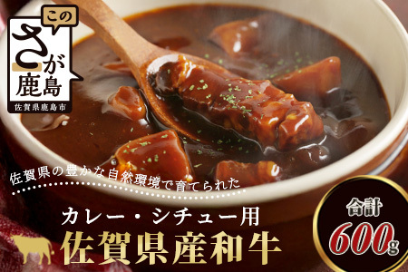 ＼生活応援／佐賀産 和牛 カレー・シチュー用 600g 佐賀産和牛 肉 佐賀 牛肉 佐賀県 鹿島市 冷凍 送料無料 人気 B-81