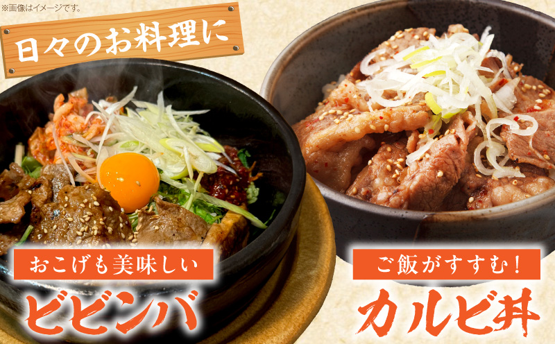 宮崎牛 カルビ焼肉500g_M389-009-01