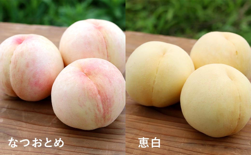 旬のおかやま白桃7〜9玉（約2kg以上）