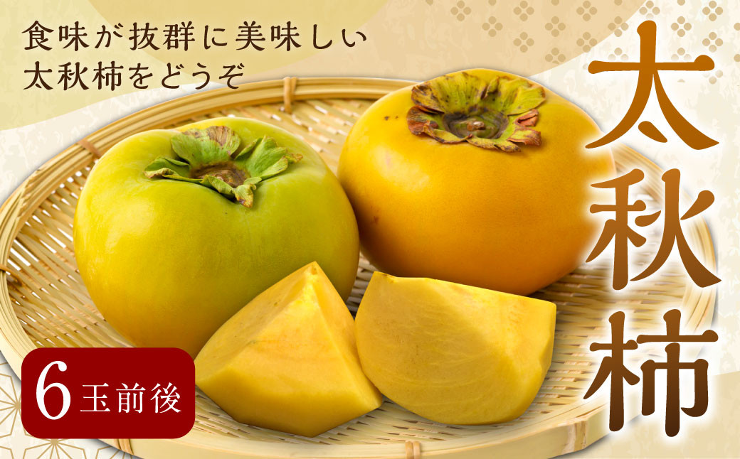 
            【先行予約】 渡辺農園 太秋柿 6玉前後 【2025年10月中旬から10月下旬 出荷予定】 柿 かき カキ 太秋 たいしゅう 完全甘柿 果物 くだもの フルーツ 果実 ジューシー お取り寄せ 福岡県 うきは市
          