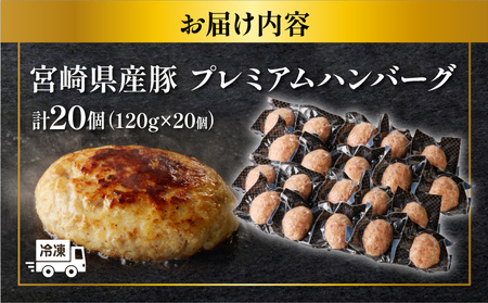 ≪数量限定≫宮崎県産豚プレミアムハンバーグ(計21個) 肉 豚肉 加工品 惣菜_T001-012-ZO【人気 ハンバーグ 取り寄せ ハンバーグ お取寄せ  ハンバーグ  手土産 ハンバーグ  グルメ 