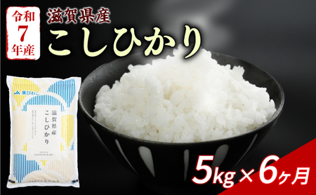 【6ヶ月定期便】 こしひかり 5kg×6回 白米 精米 JA東びわこ 滋賀 彦根
