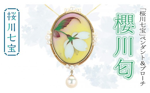 
                  「 桜川 七宝 」 櫻川匂 ペンダント ＆ ブローチ (60mm×40mm) ／ 母の日 プレゼント ジュエリー 作家 伝統工芸 森千鶴子 記念 ギフト 贈り物 贈答 [AH131sa]
                