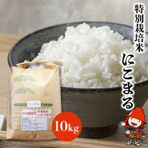 特別栽培米 にこまる 10kg | お米 精米 白米 単一米 ご飯  10キロ 大分県産 九州産 大分県 中津市
