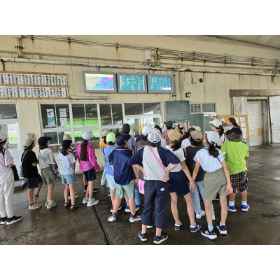 【ふるさと納税】ISUMIんツアー いすみ市　潮風を感じる!干物作り体験付き大原漁港スタディーツアー【1640577】