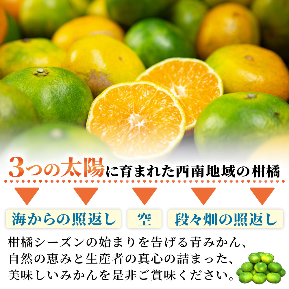 【先行予約】＜極早生小玉みかん ご家庭用 約4kg＞ ご家庭用 果物 フルーツ みかん ミカン 蜜柑 4キロ オレンジ 柑橘 食べて応援 特産品 宇都宮物産 愛媛県 西予市 【常温】『2026年9月下