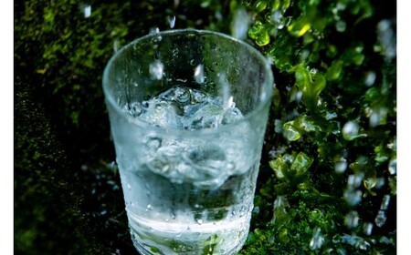 【定期便12回】のむシリカ2L×9本 (ミネラルウォーター 天然水 定期便)