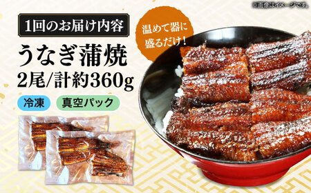 【うなぎや】 【12回定期便】 炭火焼 うなぎの蒲焼き 2尾 【紀州備長炭使用】 鰻 ウナギ 丑の日 多治見市 [TFO009]