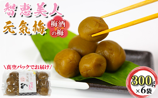 
            智恵美人 元気梅 （梅酒の梅） 300g×6袋セット【中野酒造】 梅酒  小分け ギフト 贈答 ＜110-024_6＞
          