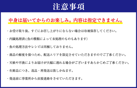 伊勢湾直送 なにが届くかな 明和の海産ガチャ Sサイズ 魚 貝 干物 海藻 新鮮 海鮮 海産 直送 海 漁師 おまかせ 旬 季節 お楽しみ 選べる内容量 I52