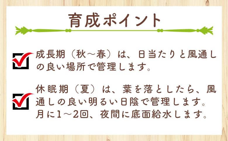 オレオフィルム ペラルゴニウム cc-0014