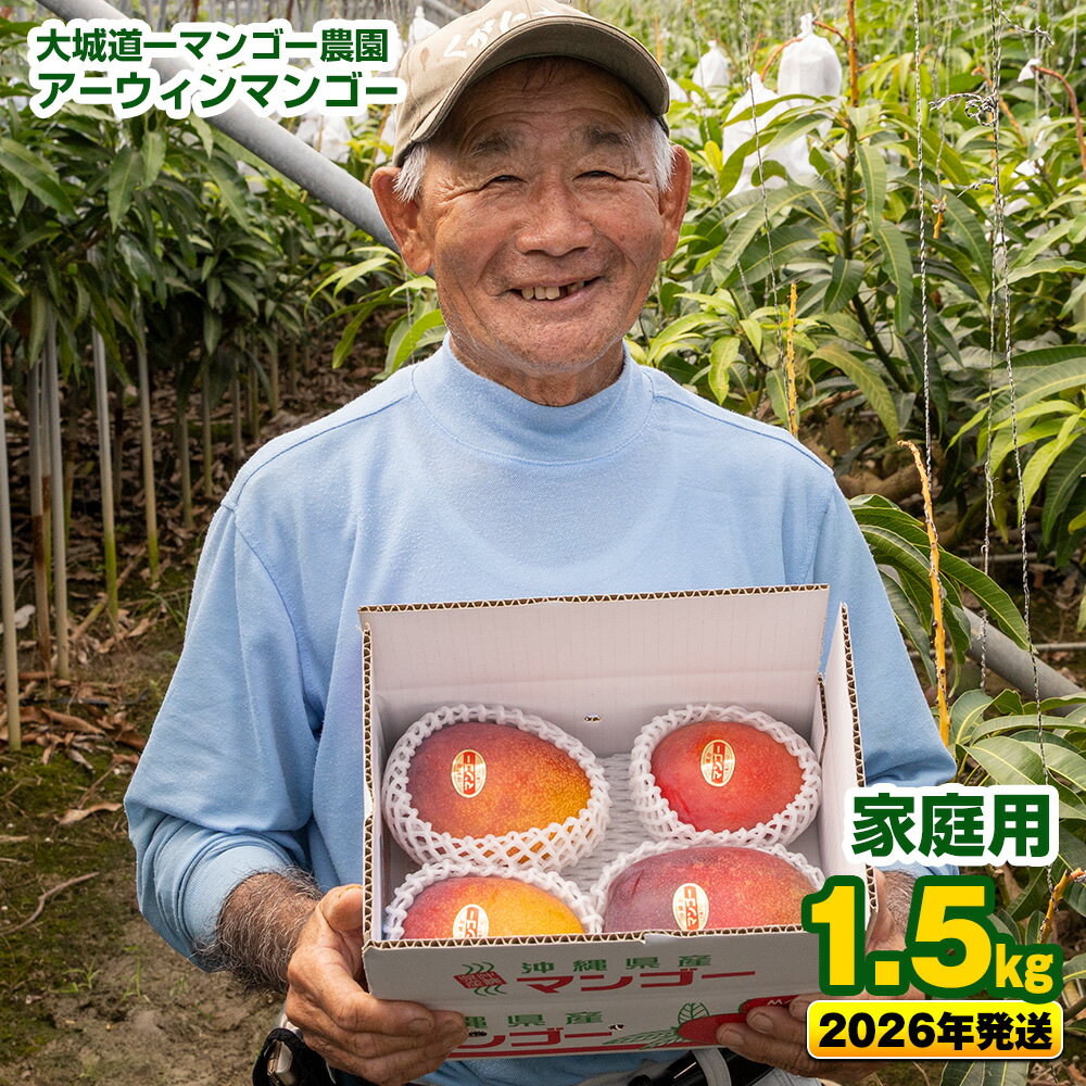 【ふるさと納税】【2026年発送】大城道一マンゴー農園のアーウィンマンゴー1.5kg（家庭用）