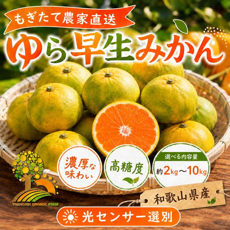 【ふるさと納税】【先行予約】＼選べる内容量／ ゆら早生 みかん 濃厚な味わい 希少品種《有機質肥料100％》極早生 ｜ 由良 ゆら 早生 わせ 柑橘 果物 くだもの フルーツ 和歌山 有田