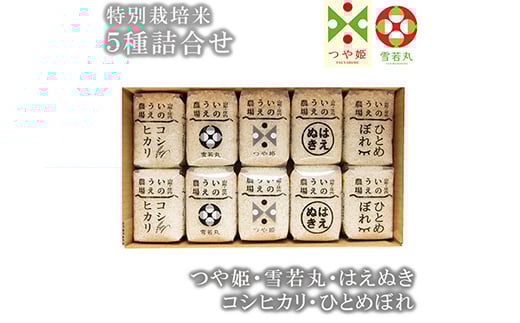
井上農場 5種詰合せ≪山形県産 つや姫 雪若丸 はえぬき コシヒカリ ひとめぼれ≫ 米 お米 ブランド米 銘柄米 備蓄 日本米 こしひかり コメ ごはん ご飯 食品 山形県 F2Y-1954
