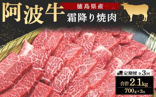 【定期便全3回】阿波牛霜降り焼肉700g