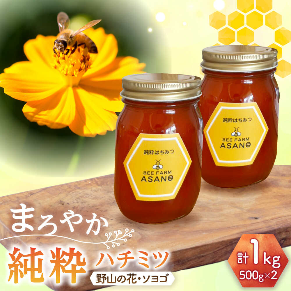 【ふるさと納税】純粋ハチミツ 2種セット (野山の花500g×1 ソヨゴ500g×1) 瑞浪市 / honey shop Bee farm asano 蜂蜜 はちみつ[AZBT014]