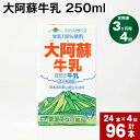 【ふるさと納税】【定期便】【3ヶ月毎 4回】大阿蘇牛乳 250ml 計96本(24本×4回) 計24L 牛乳 飲料 生乳100% 乳飲料 ミルク 無調整牛乳 らくのうマザーズ 常温保存可能 ロングライフ牛乳 朝食 九州 熊本 高森町