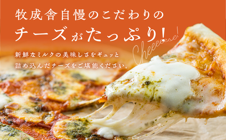 ＜牧成舎＞ チーズたっぷりミニピザセット 4枚セット 自家製チーズ 冷凍 惣菜 常備 パーティー [B0002xch_4]