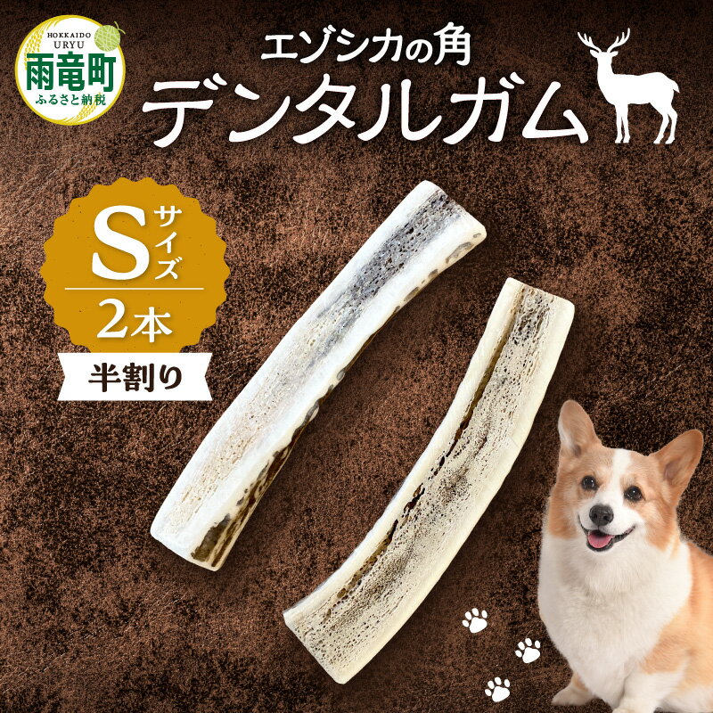 【ふるさと納税】 【数量限定】 エゾシカの角 デンタルガム Sサイズ 半割2本