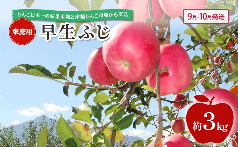 
            [№5554-0279]【 9月・10月発送 】 家庭用 早生ふじ 約 3kg 【 青森県鶴田町産 りんご 青森りんご 】果物類 フルーツ 林檎 リンゴ 鶴田町 青森県 おやつ デザート
          