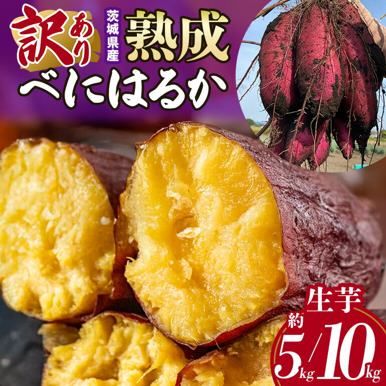 【ふるさと納税】 訳あり品！茨城県産熟成べにはるか 選べる 約5kg 10kg さつまいも サツマイモ 芋 いも 茨城県 那珂市 B15-005/B15-006
