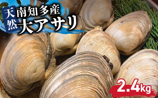 日間賀島産 大アサリ 2.4kg アサリ 貝類 魚介類 魚貝類 貝 あさり 愛知 南知多 海鮮 シーフード BBQ アウトドア