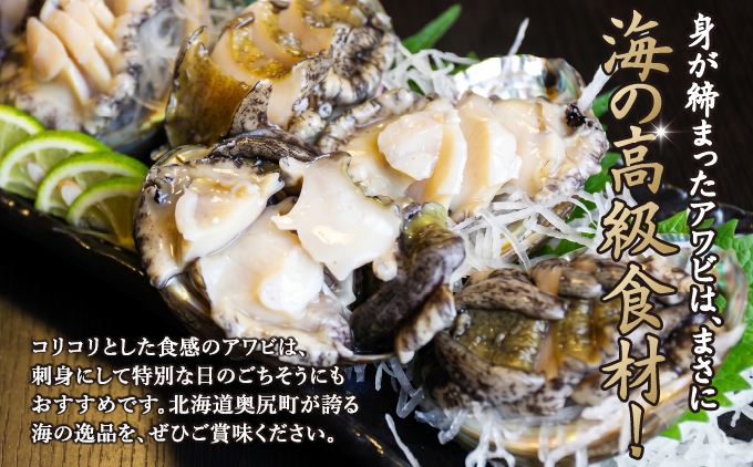 奥尻島産 冷凍 養殖アワビ (3個入り) 1個 約70mm 北海道 奥尻町