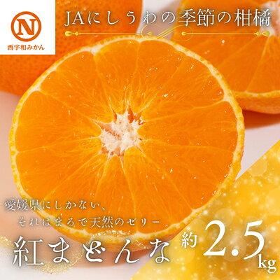 【ふるさと納税】【先行受付】JAにしうわの季節の柑橘(紅まどんな 約2.5kg)【G08-49】_ みかん ミカン 紅まどんな 紅マドンナ まどんな 柑橘 フルーツ くだもの 果物 ふるーつ 青果 果実 甘い ジューシー 産直 産地直送 旬 柑橘類 人気 愛媛 果汁 JA 【1443382】YWTV020