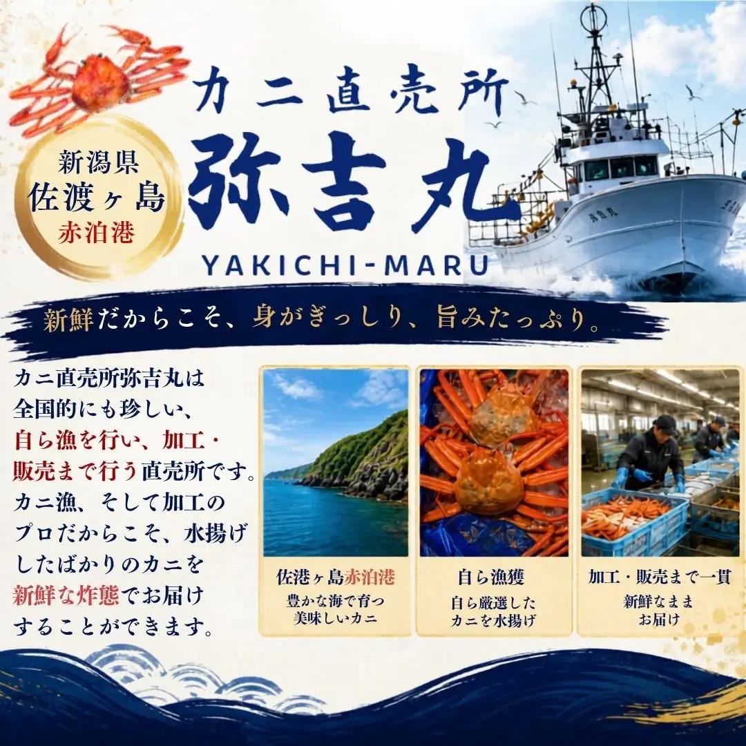 紅ズワイガニ 茹で むき身 200g 3パック | ボイル 新潟県 佐渡市 ズワイガニ