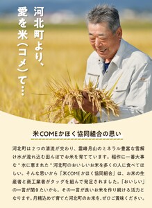 【令和7年産米】2026年1月下旬発送 はえぬき60kg（20kg×3ヶ月）隔月定期便 山形県産 【米comeかほく協同組合】　ka024-111d-r7-01053